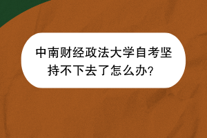 中南财经政法大学自考坚持不下去了怎么办？